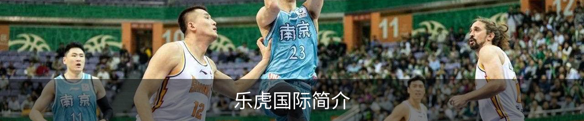 乐虎国际简介